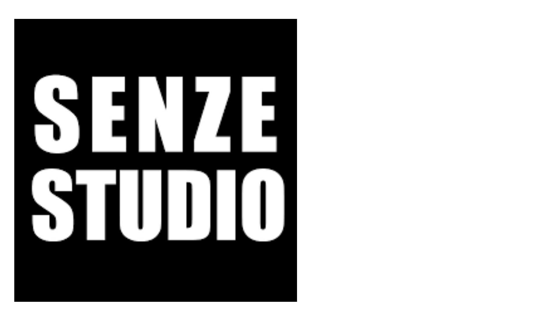 Senze Studio – One Stop Online Hair Care